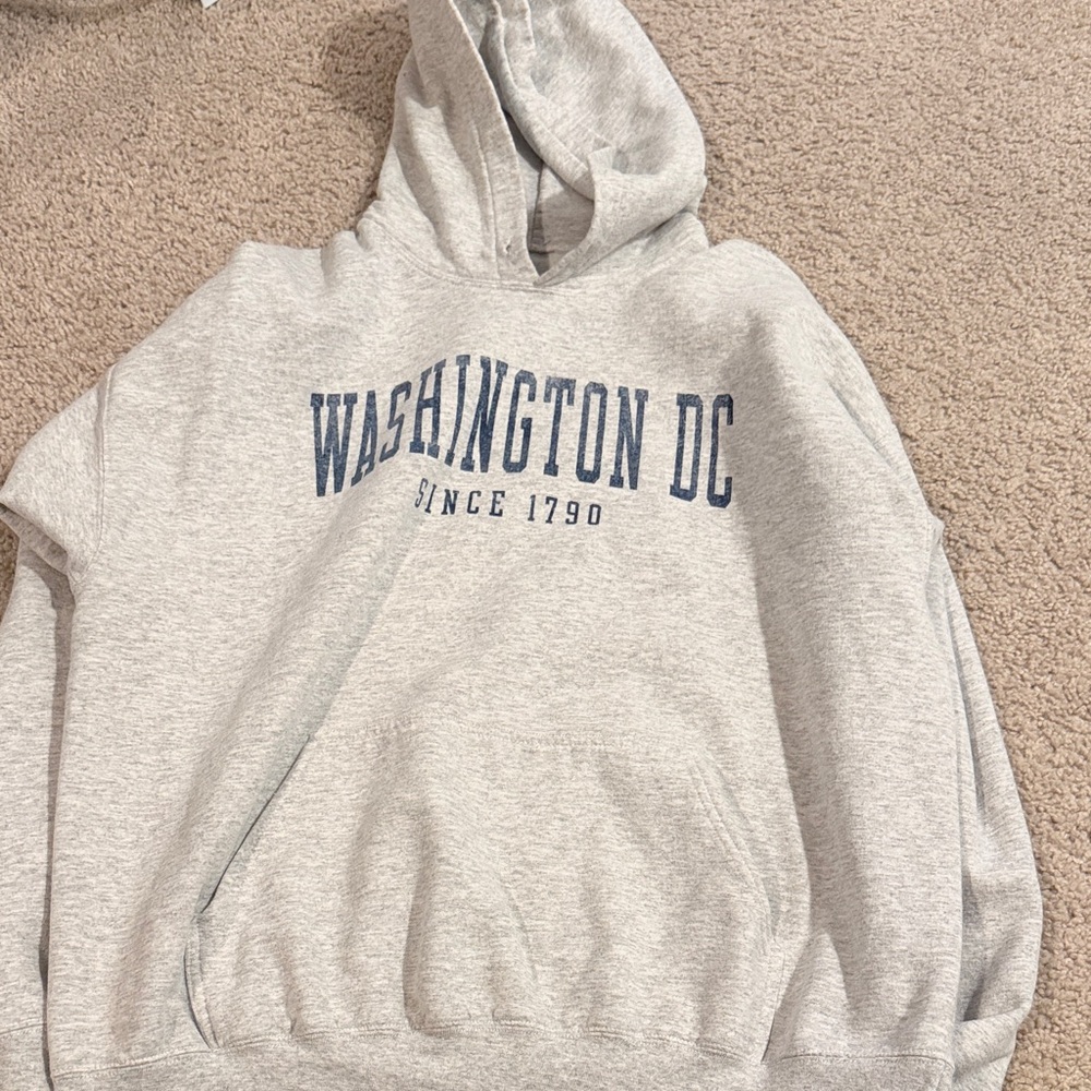 Gray Washington DC Hoodie